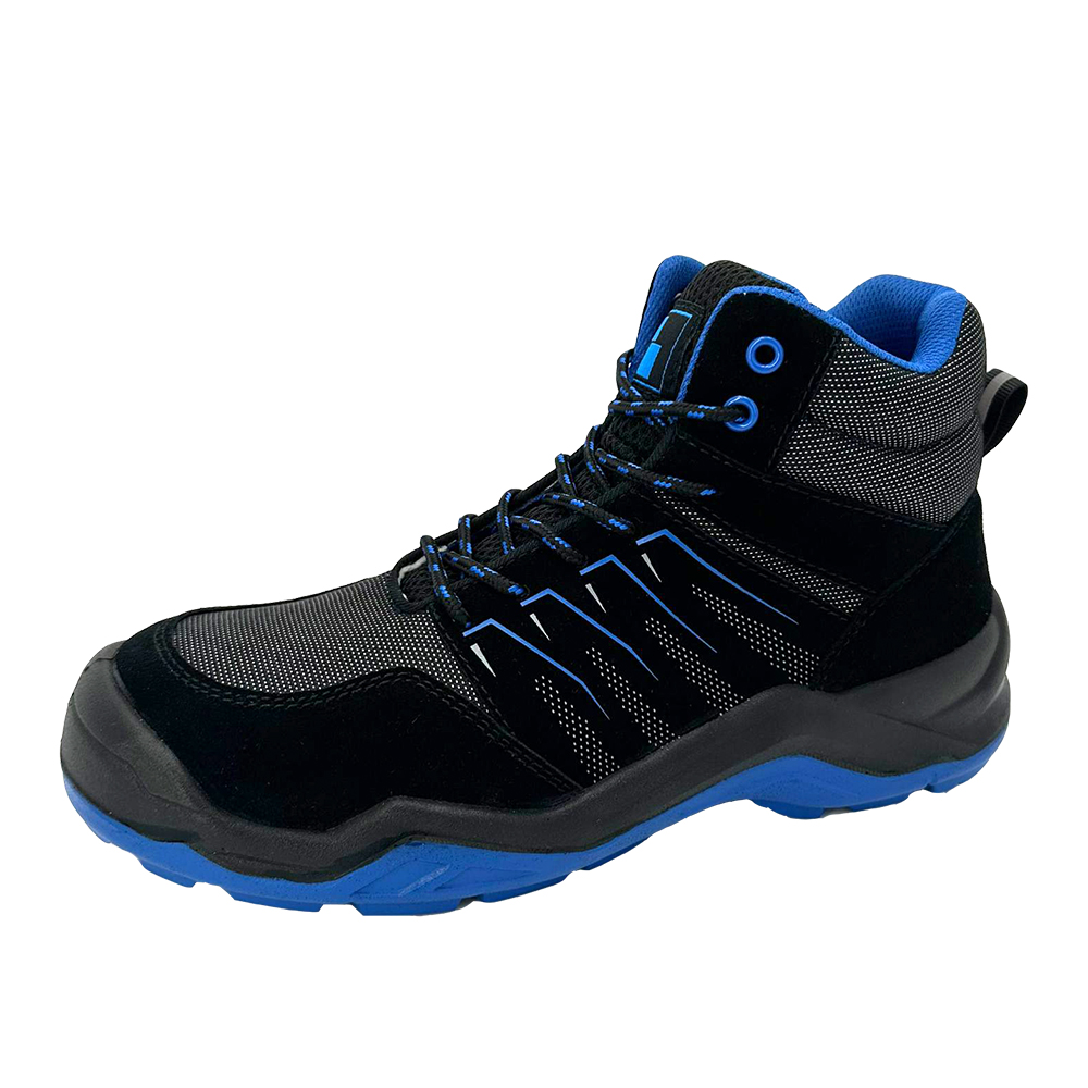 HM-2011-01